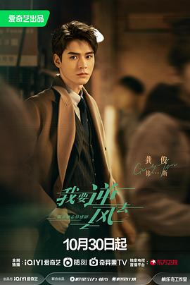 沧县seo优化公司